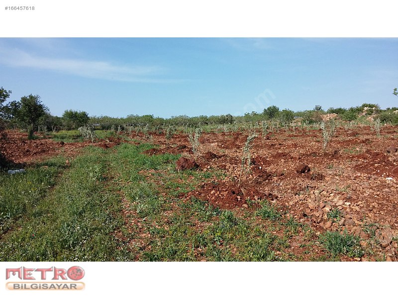 Nizip kocatepe satlık arazi 2200 metre 40 bin tl ye