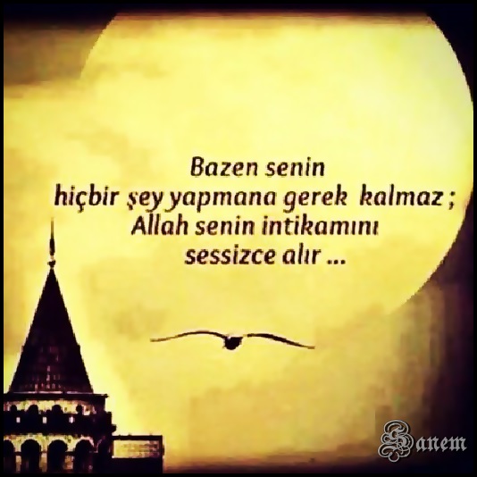 2014 geleneksel nizip.com iftarı 18 TEMMUZ 2014 CUMA 2014 geleneksel nizip.com iftarı 18 TEMMUZ 2014 CUMA