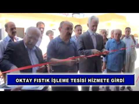 03 oktay fıstık işleme tesisi hizmete girdi
