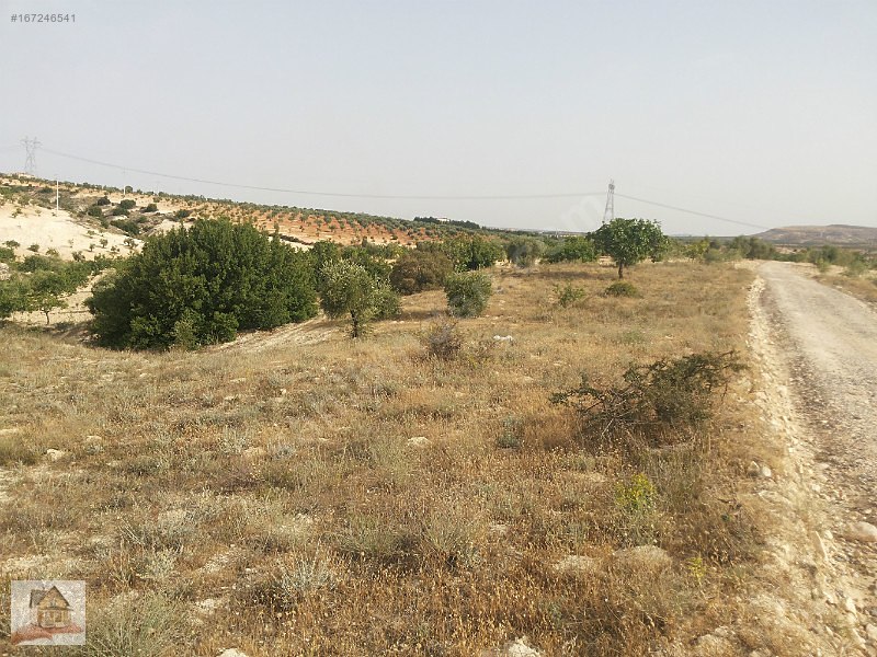 Turluda antep asfaltına 400mt yola sıfır yeri düz arazi