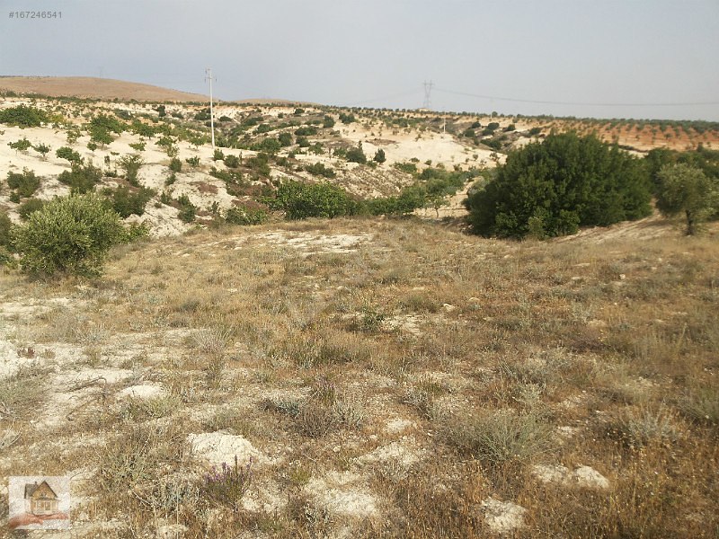 Turluda antep asfaltına 400mt yola sıfır yeri düz arazi