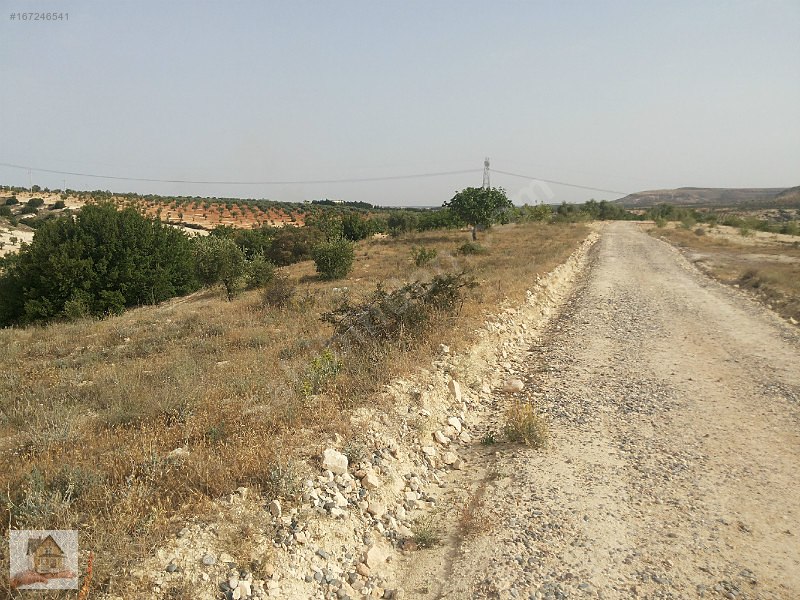 Turluda antep asfaltına 400mt yola sıfır yeri düz arazi