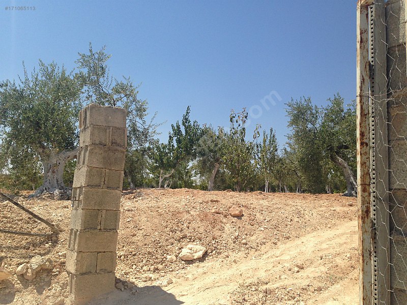 Sahibinden bağ evi yola dıfır