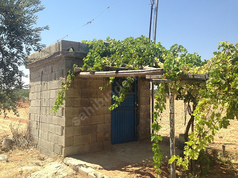 Sahibinden bağ evi yola dıfır