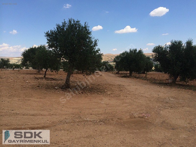 NİZİP'DE YATIRIM AMAÇLI 4050 m2 ARAZİ