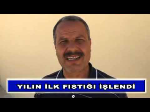 04 yılın ilk fıstıgı işlendi