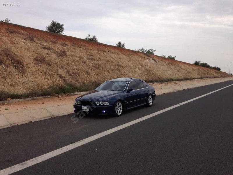 M5 yavrusu