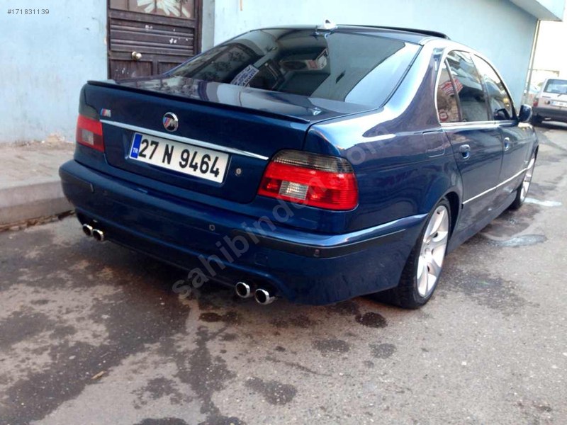 M5 yavrusu