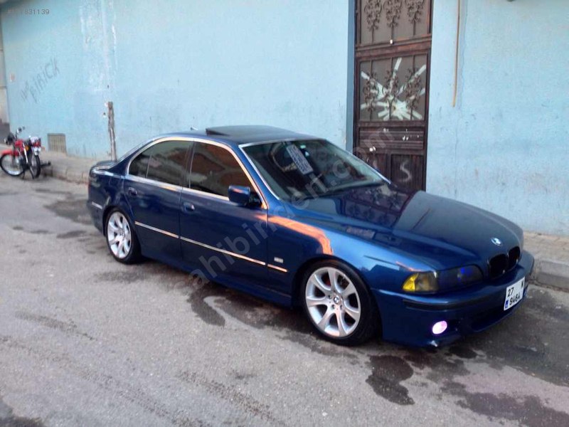 M5 yavrusu