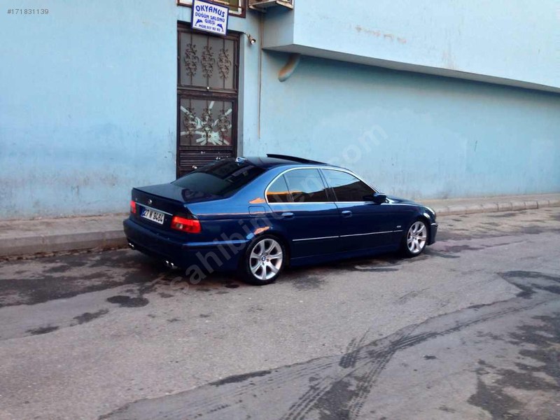 M5 yavrusu