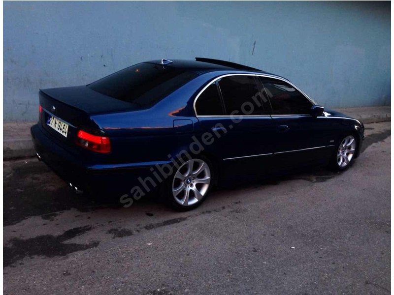 M5 yavrusu