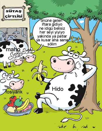 Sütaş karikatürleri Nizip.com'da Olursa.