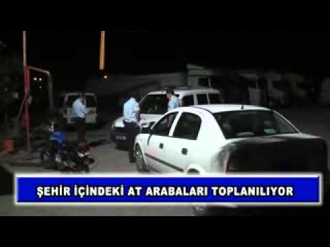 şehir içindeki at arabaları toplanılıyor