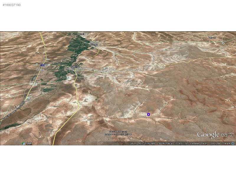 Nizip sekili'de satılık 3300 m2 zeytinlik...
