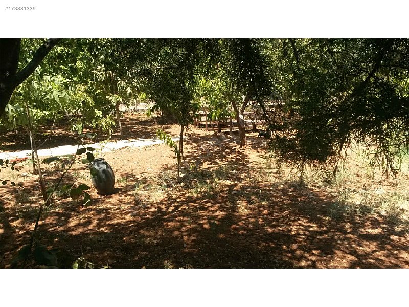 Göksel güzelden nizipte otobana sıfır satılık bağevi kod 4003