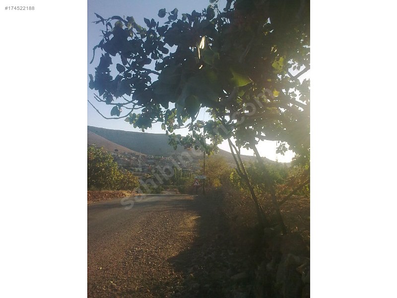 Acil satlık tarla