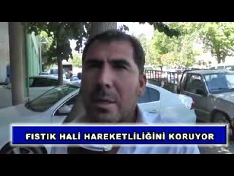 Fıstık hali hareketliliğini koruyor