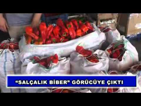 ?salçalık biber? Görücüye çıktı