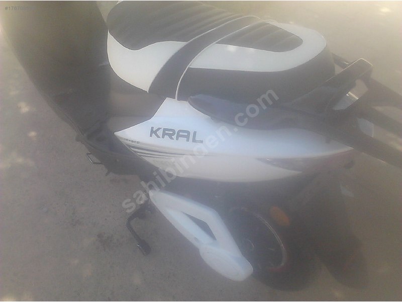 Kral Mo KR-12  1 aylık tertemiz beyaz güllümü satıyorum
