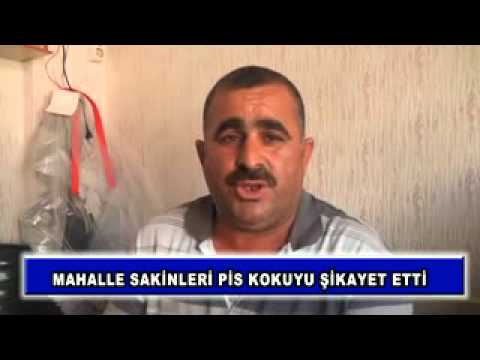 Mahalle sakinleri pis kokuyu şikayet etti