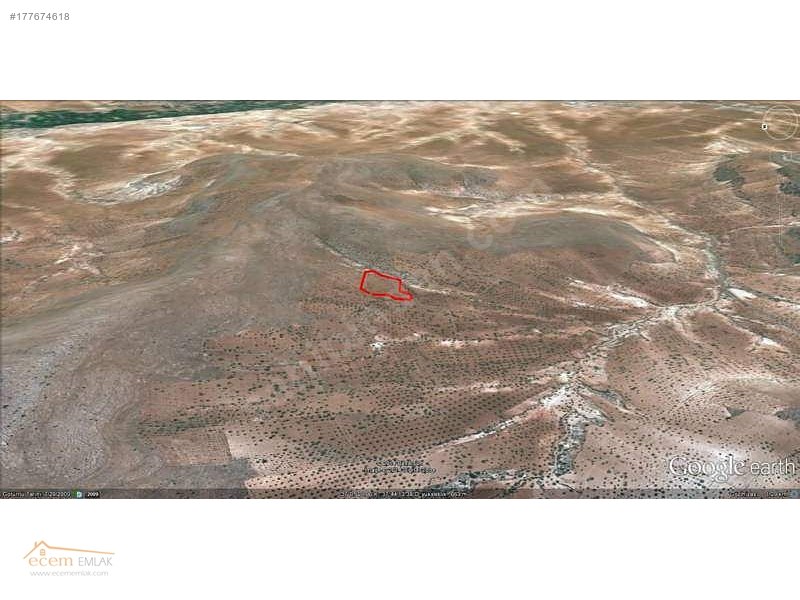 ECEM EMLAK NİZİP SÖĞÜTLÜ 12000 m2 YATIRIM YERİ İLAN NO 306
