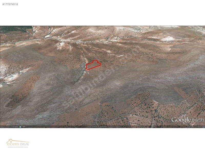 ECEM EMLAK NİZİP SÖĞÜTLÜ 12000 m2 YATIRIM YERİ İLAN NO 306