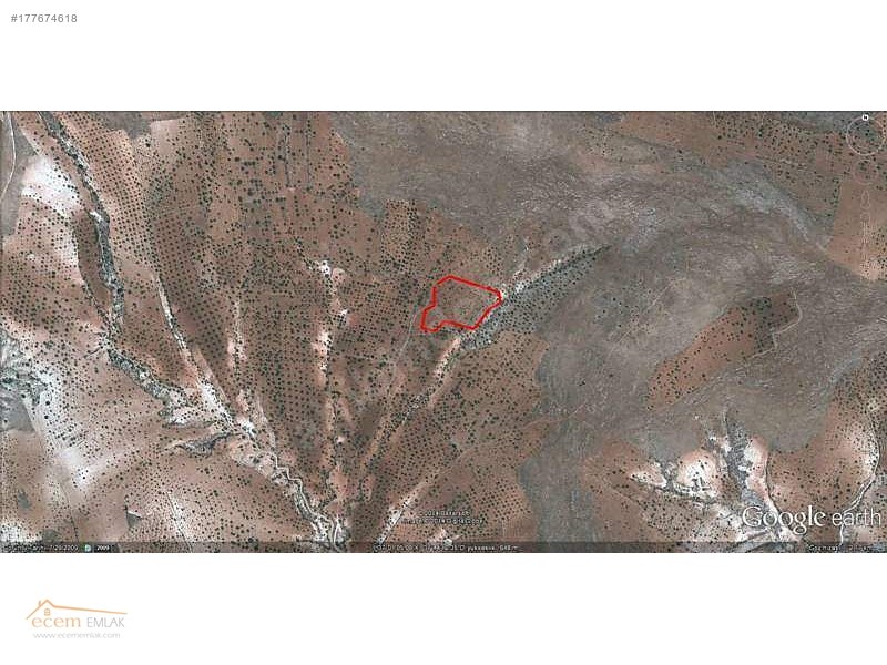 ECEM EMLAK NİZİP SÖĞÜTLÜ 12000 m2 YATIRIM YERİ İLAN NO 306