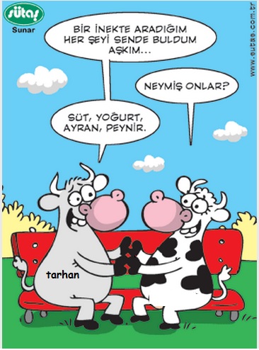 Sütaş karikatürleri Nizip.com'da Olursa.