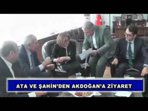 Ata ve şahin
