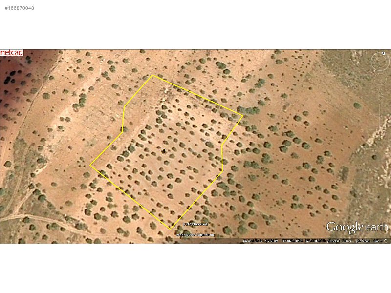 EZEL EMLAK DAN ALTINDAĞ DA 8150 m2  BATAL LA ARASIN DA 1500 MTR