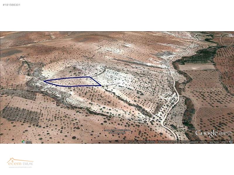 Ecem emlak'tan nizip sekili'de  6200 m2 yatırım yeri ilan no 462