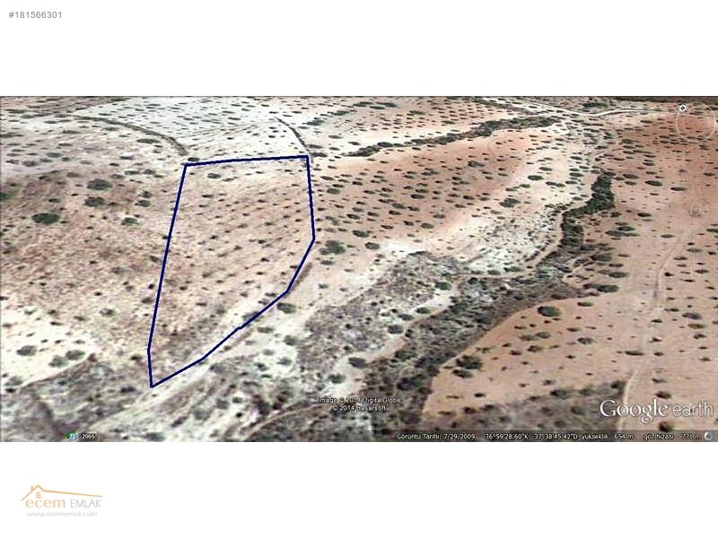 Ecem emlak'tan nizip sekili'de  6200 m2 yatırım yeri ilan no 462
