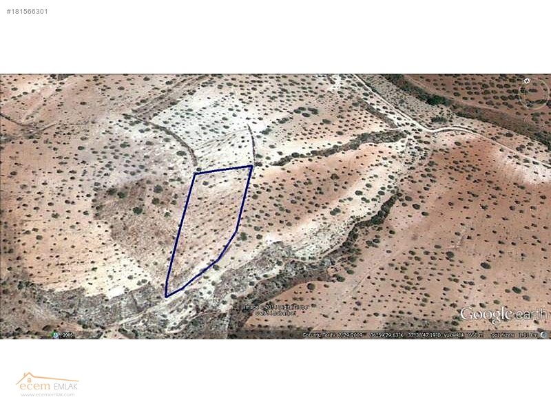 Ecem emlak'tan nizip sekili'de  6200 m2 yatırım yeri ilan no 462