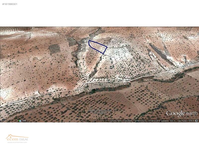 Ecem emlak'tan nizip sekili'de  6200 m2 yatırım yeri ilan no 462