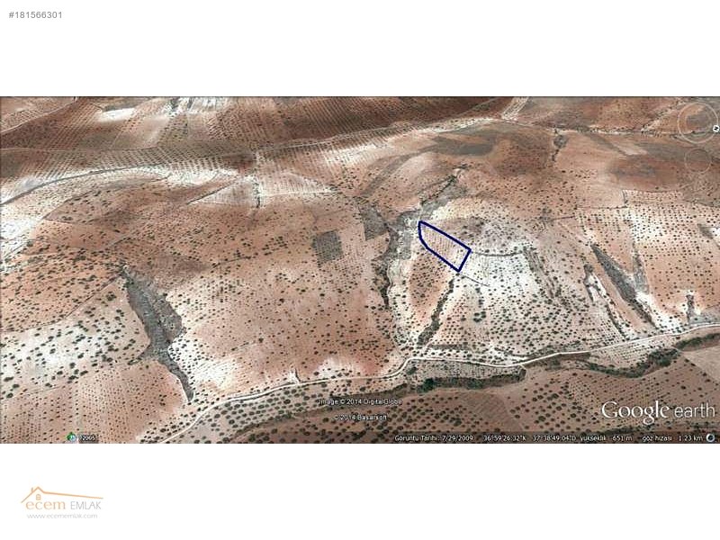 Ecem emlak'tan nizip sekili'de  6200 m2 yatırım yeri ilan no 462