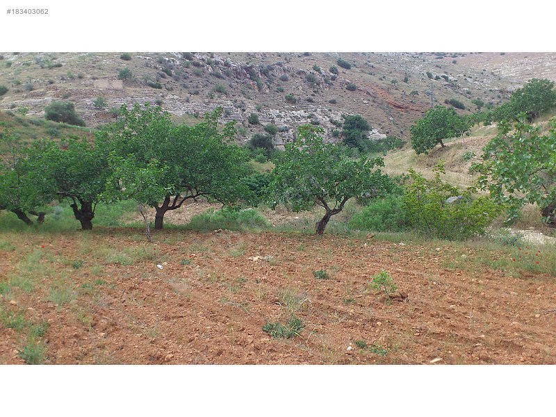 Nizip tatlıcakta yatırımlık çok uygun fıstıklık sahibinden