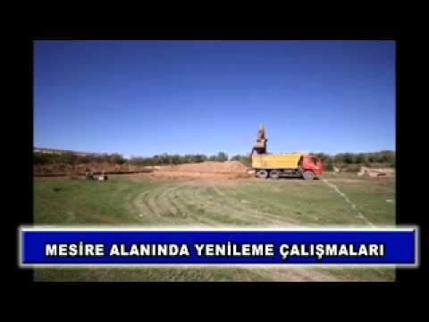 Mesire alanında yenileme çalışmaları