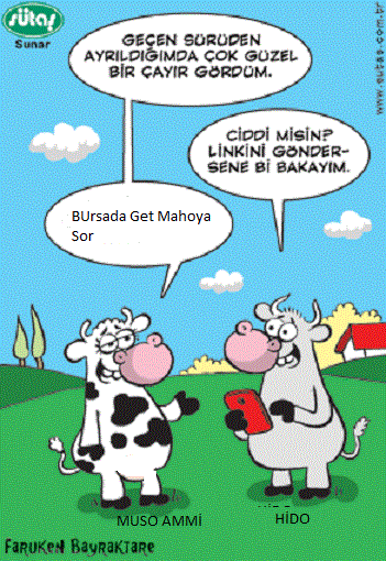 Sütaş karikatürleri Nizip.com'da Olursa.