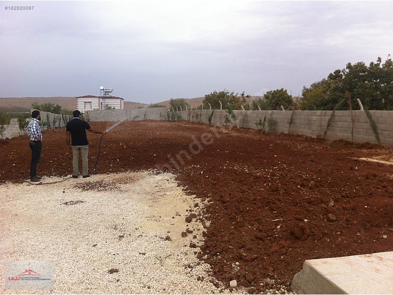 Ulu gayrımenkül,den ciftlik ve bağ evi