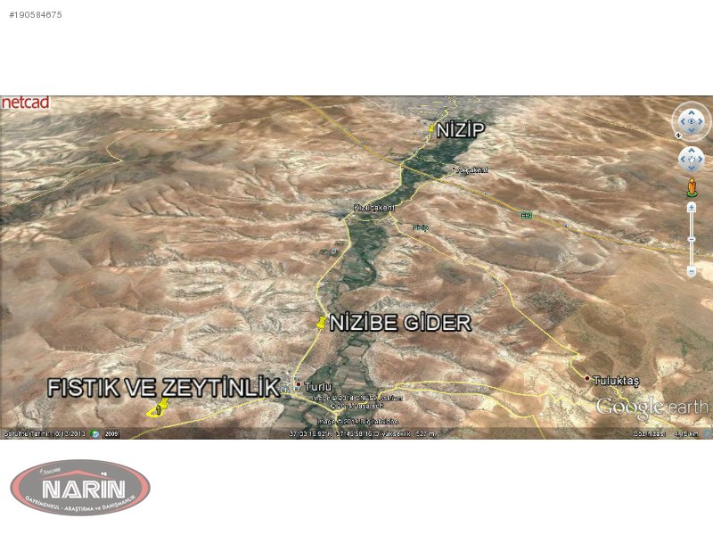 Narin'den nizip - turlu köyünde satılık zeytin-fıstıklık