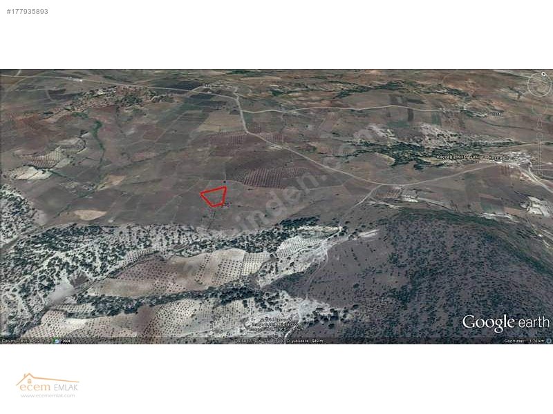 ECEM EMLAK KİLİS MUSABEYLİ 13000 m2 YATIRIM YERİ İLAN NO 319