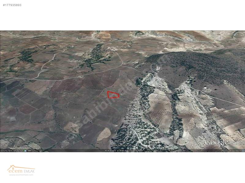 ECEM EMLAK KİLİS MUSABEYLİ 13000 m2 YATIRIM YERİ İLAN NO 319