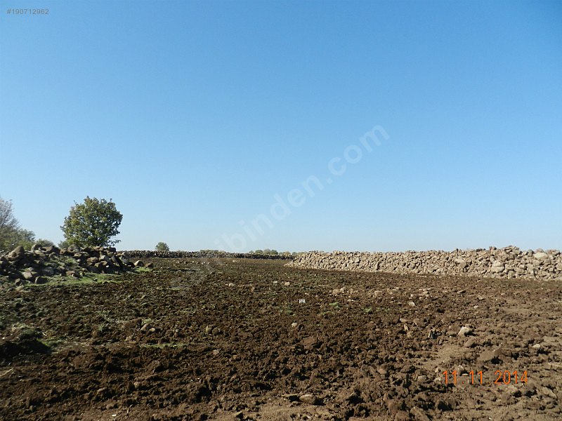 Sahibinden satılık 93 dönüm tarla