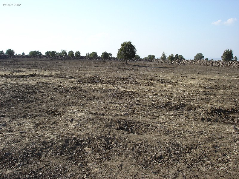 Sahibinden satılık 93 dönüm tarla