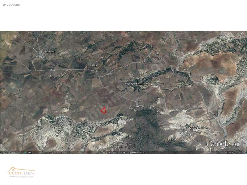 ECEM EMLAK KİLİS MUSABEYLİ 13000 m2 YATIRIM YERİ İLAN NO 319