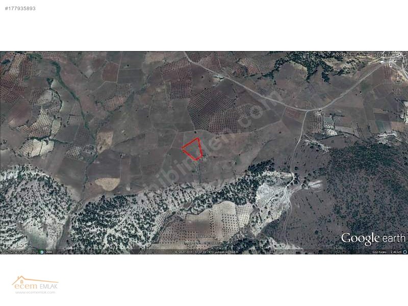 ECEM EMLAK KİLİS MUSABEYLİ 13000 m2 YATIRIM YERİ İLAN NO 319