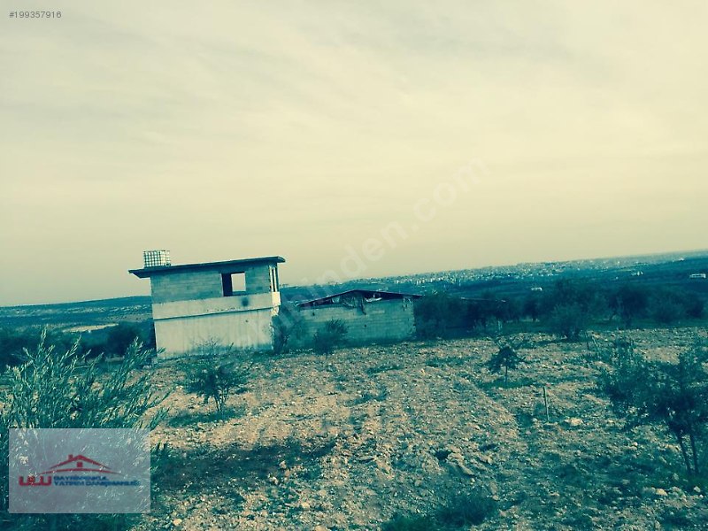 Ulu gayrimenkulden satlık bağ evi ve ahır