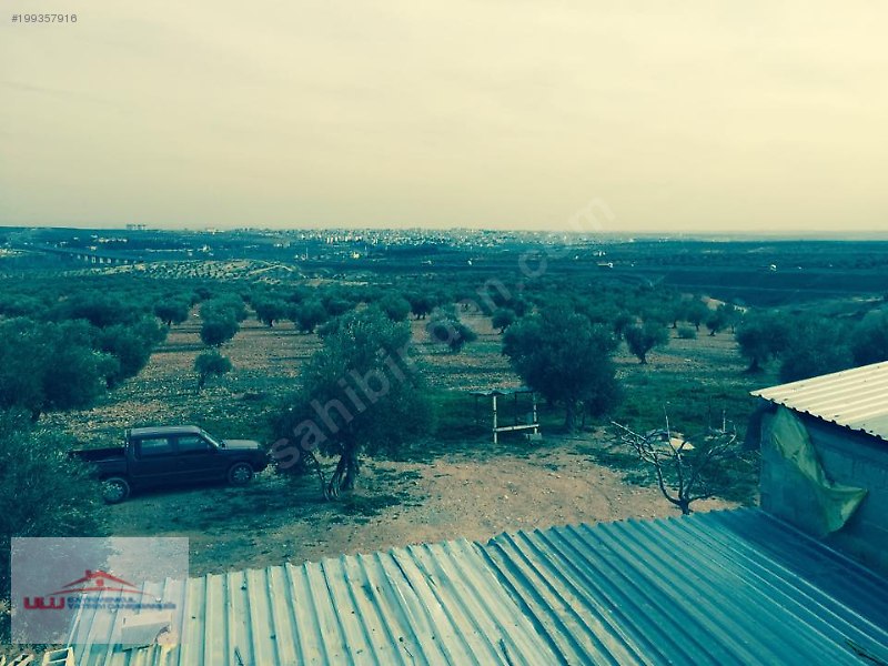 Ulu gayrimenkulden satlık bağ evi ve ahır