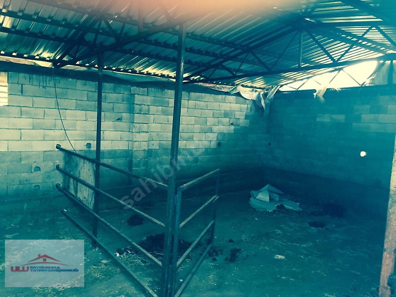 Ulu gayrimenkulden satlık bağ evi ve ahır