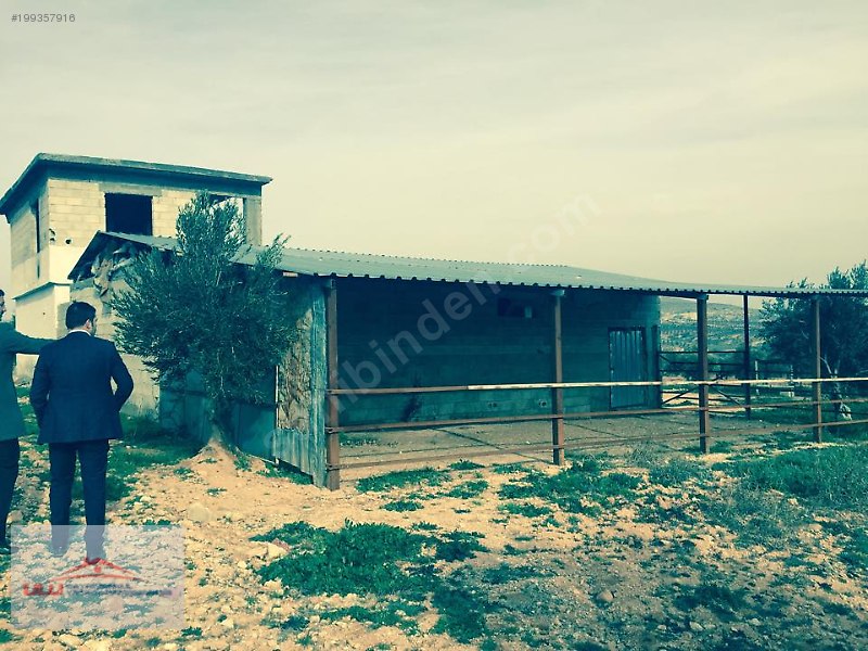 Ulu gayrimenkulden satlık bağ evi ve ahır